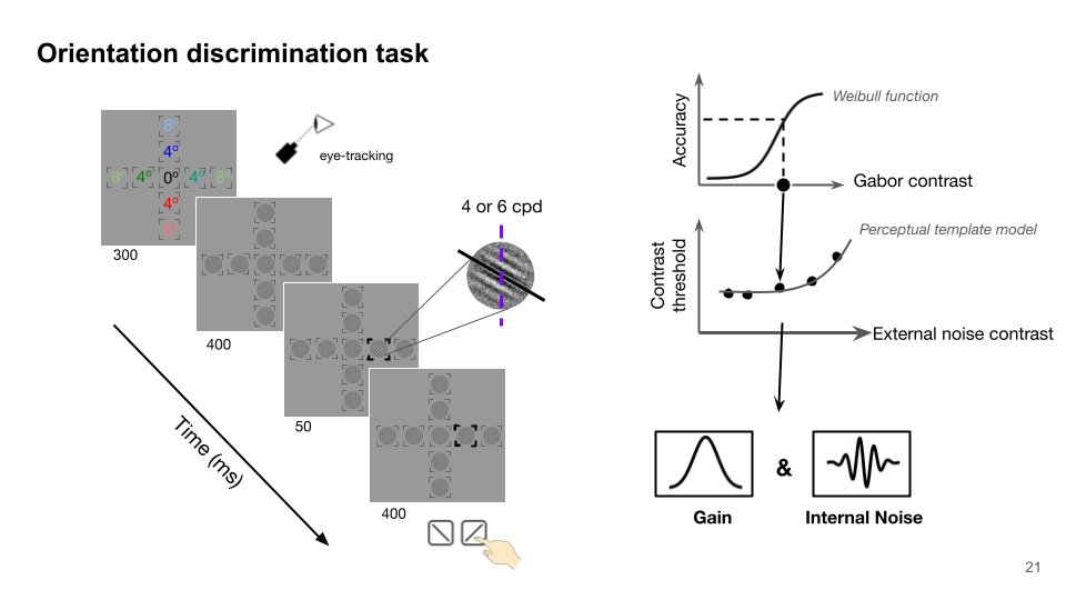 Color Categorization Model